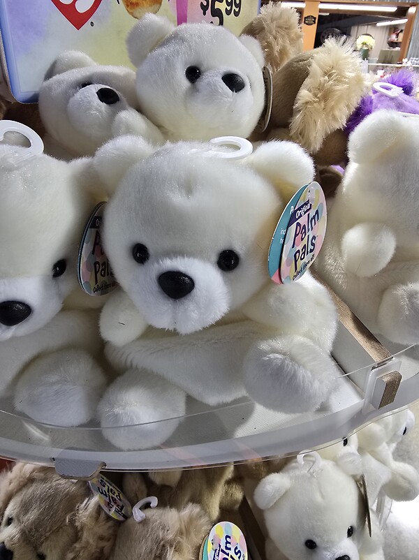 Palm Palm bear