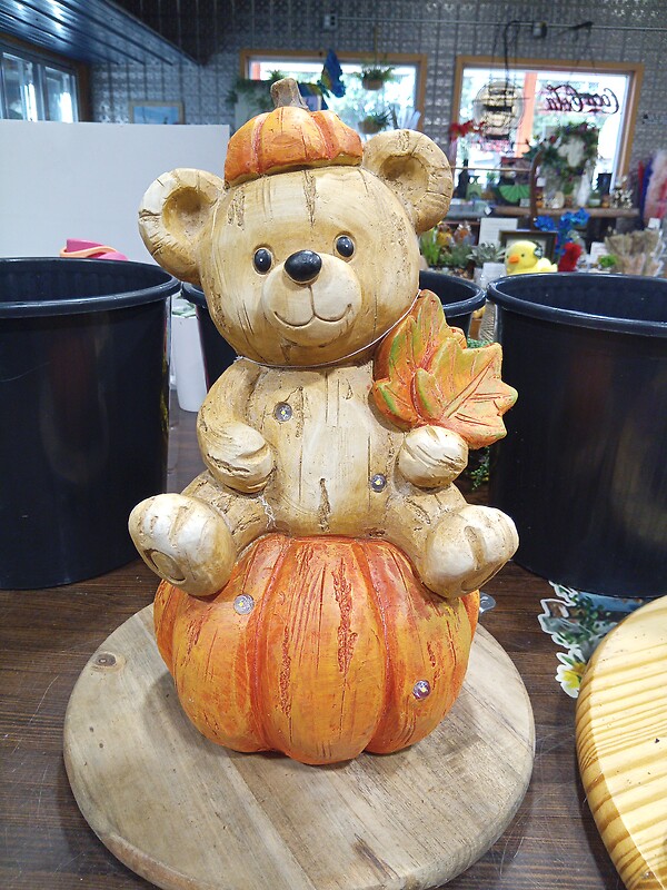 Bear on Pumpkin