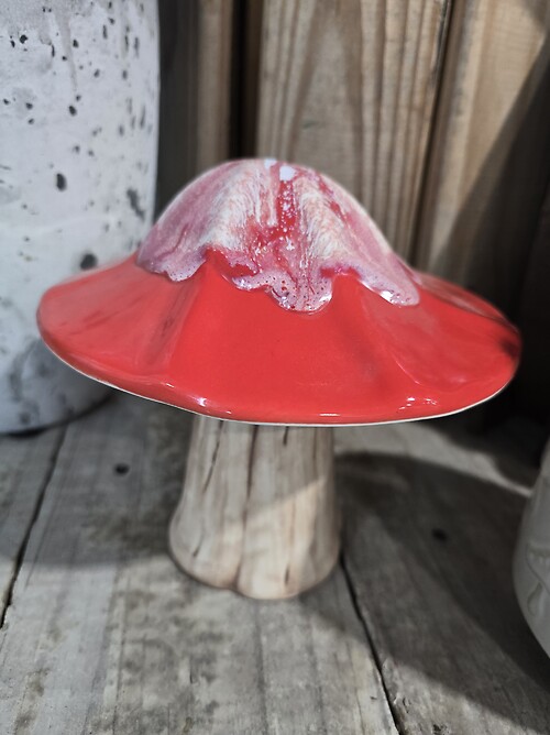 Large mushroom